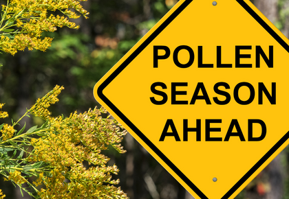 hay fever pollen season