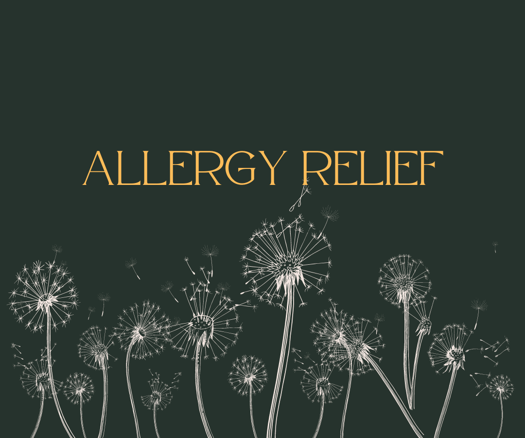 herbs for allergy relief