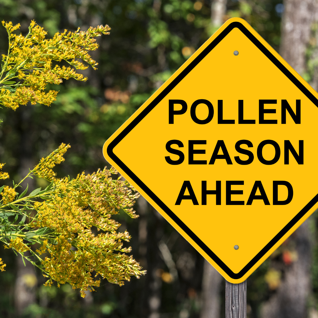 hay fever pollen season road sign Apotheka Herbal