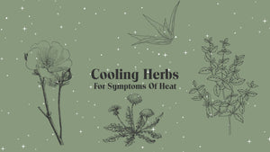 cooling herbs