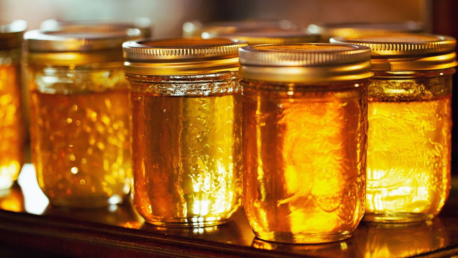 fire cider recipe Apotheka Herbal