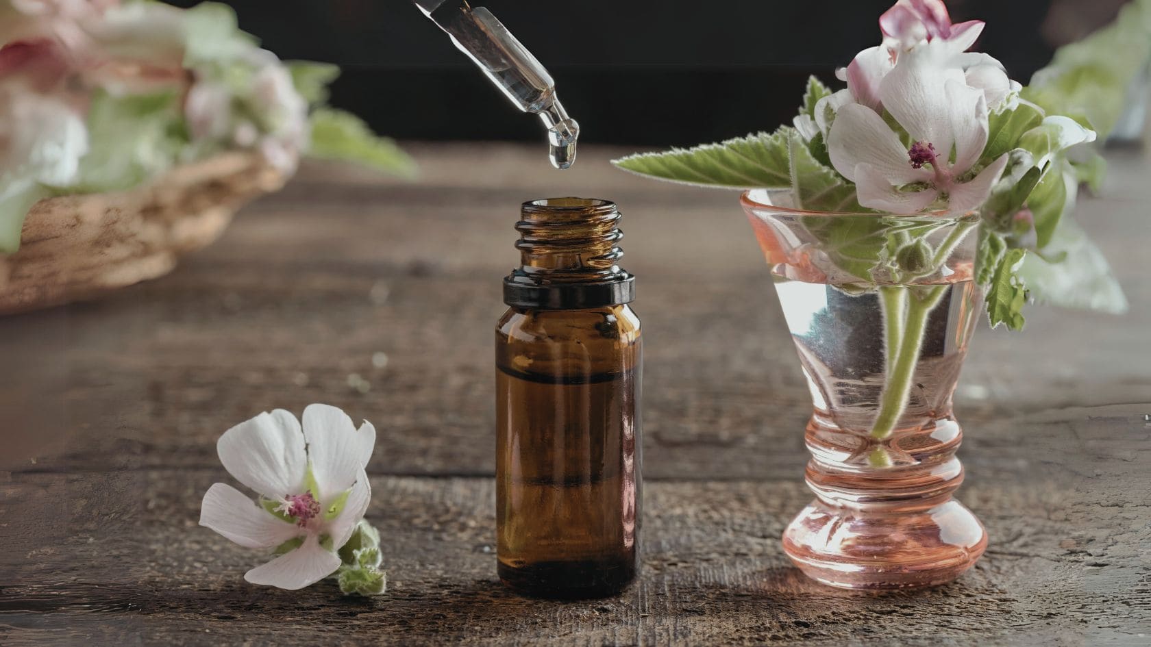 Find an immune tincture for this cold and flu season