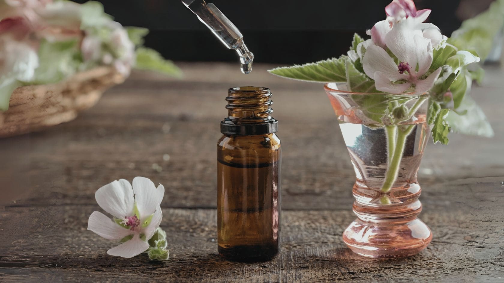 Boost Your Immunity: Best Immune Tinctures for Cold and Flu Season