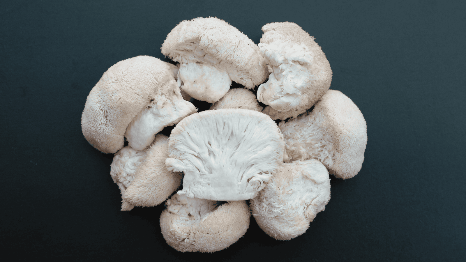 Lion's Mane Mushroom in Canada: A Comprehensive Guide Apotheka Herbal