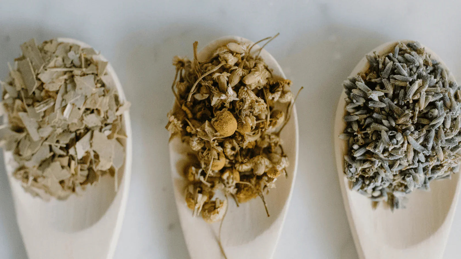 herbs used in teas for pms symptoms presented on wooden spoons Apotheka Herbal