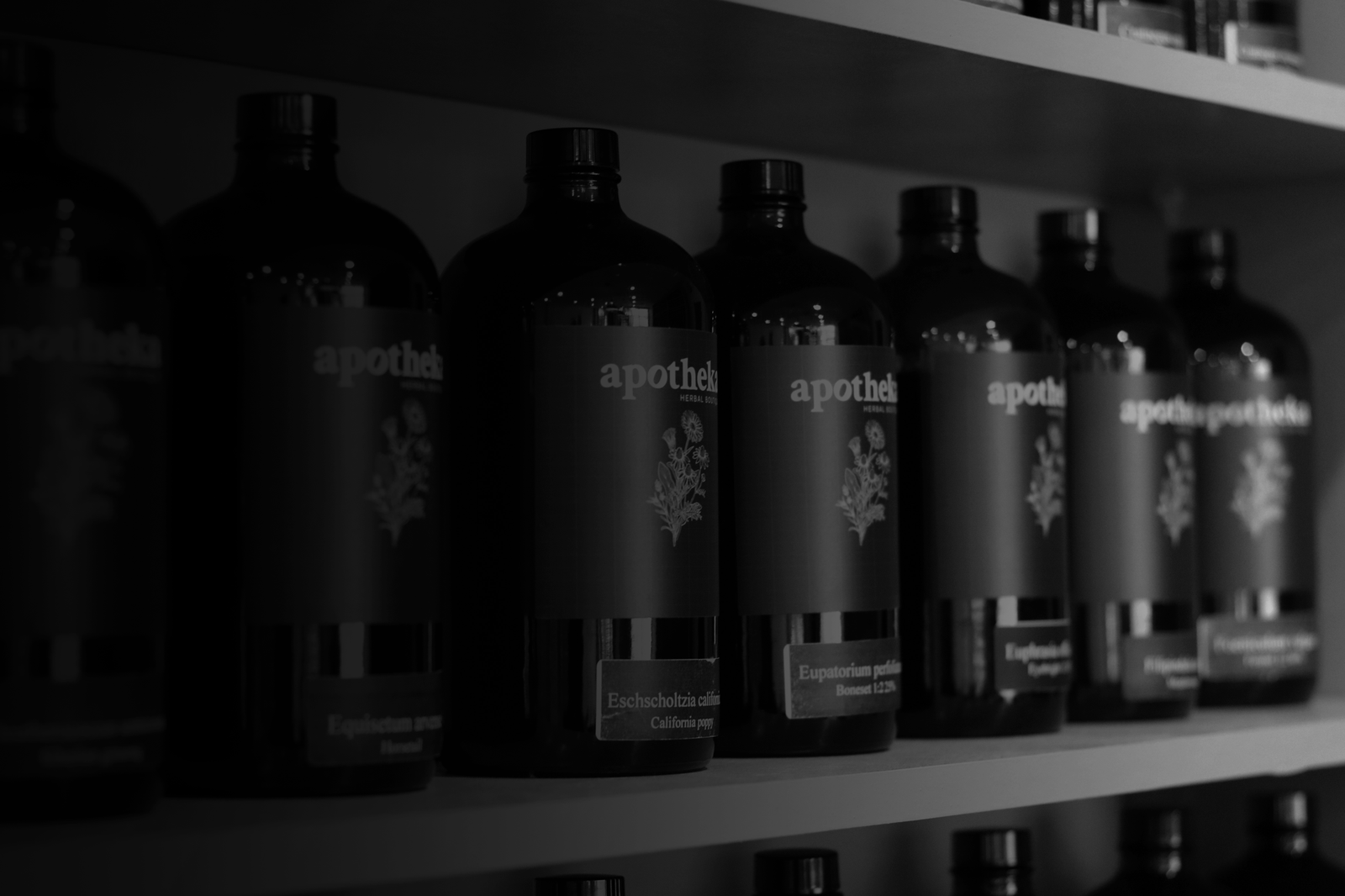 Various tincture formulas lined up on a shelf at Apotheka Herbal in Victoria, BC. Apotheka Herbal
