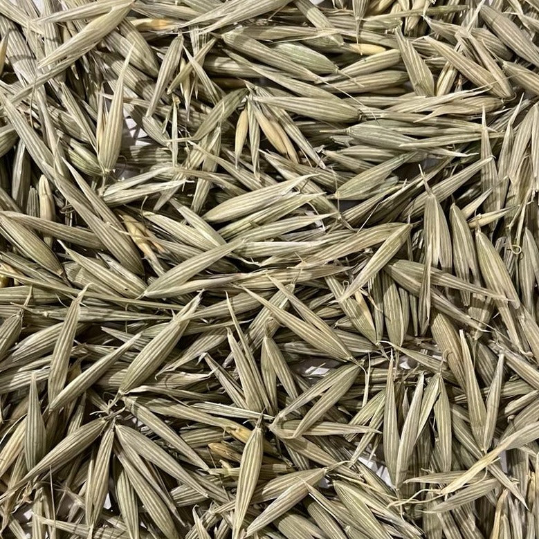 organic milky oat seed tops Apotheka Herbal