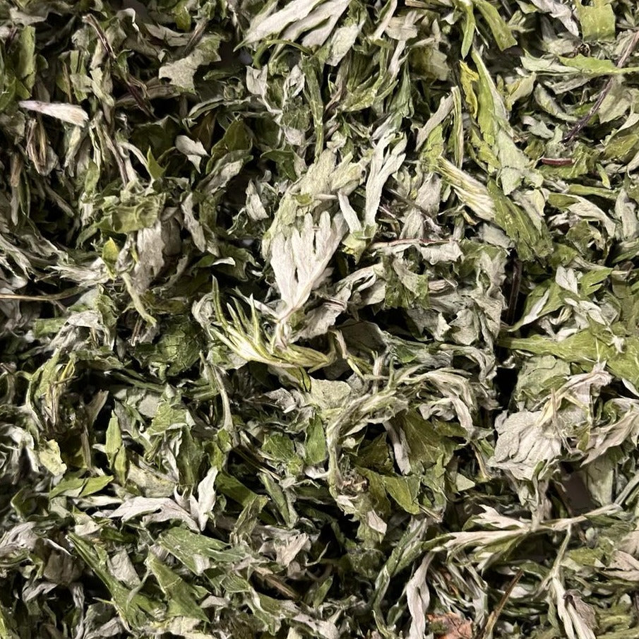 organic dried mugwort Apotheka Herbal
