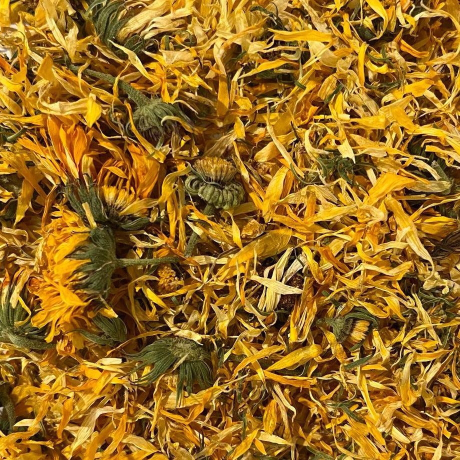 organic dried calendula blossoms Apotheka Herbal