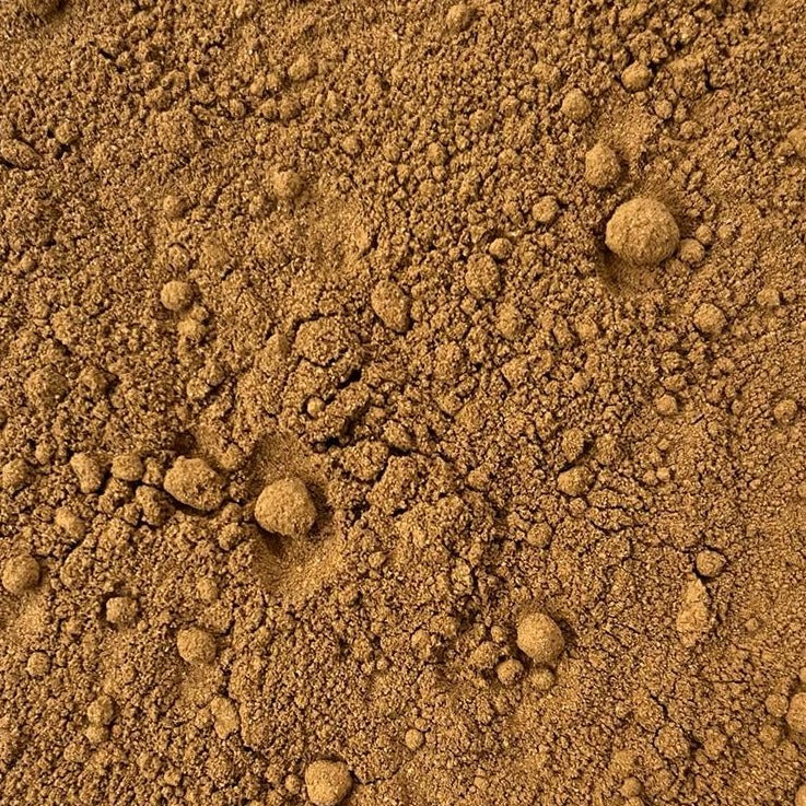 organic reishi mushroom powder Apotheka Herbal