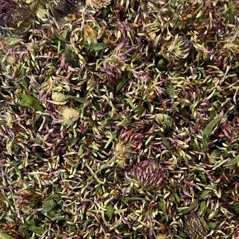 organic dried red clover buds Apotheka Herbal