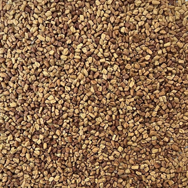 organic fenugreek seeds Apotheka Herbal
