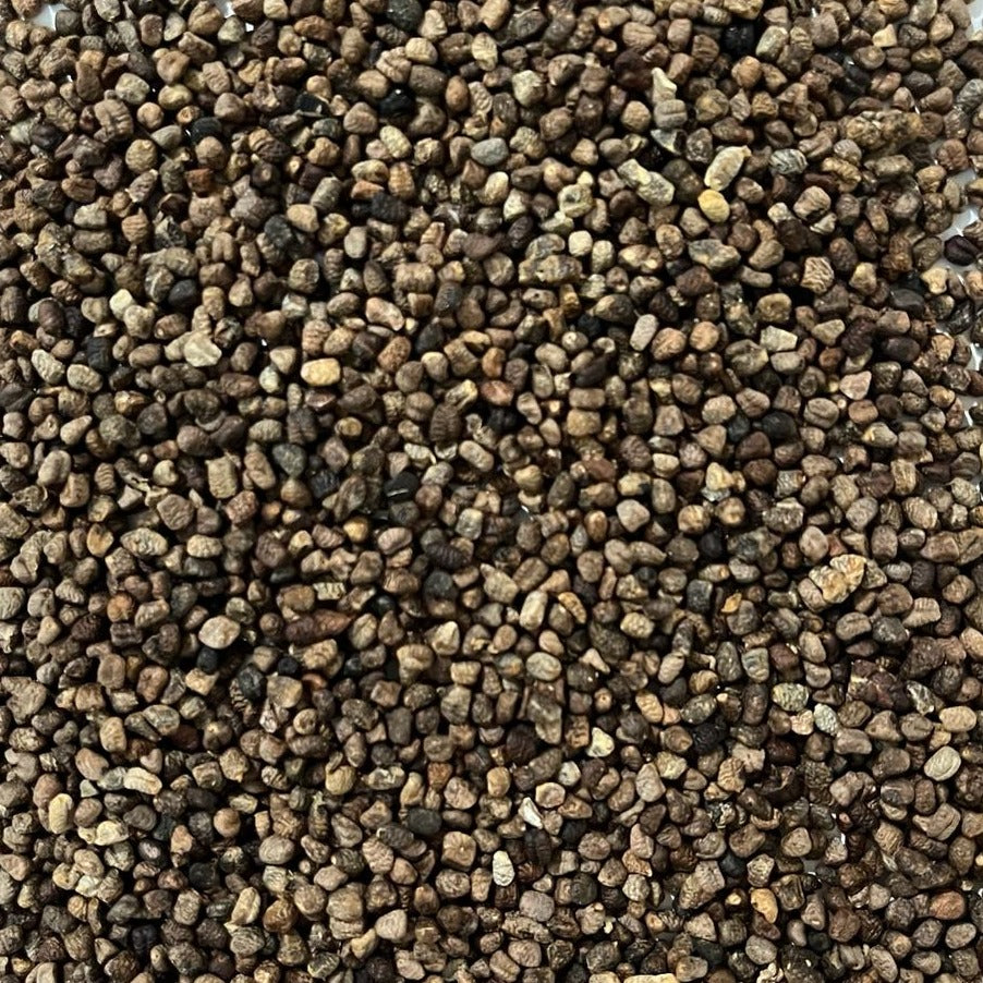 close-up of cardamom seeds  Apotheka Herbal
