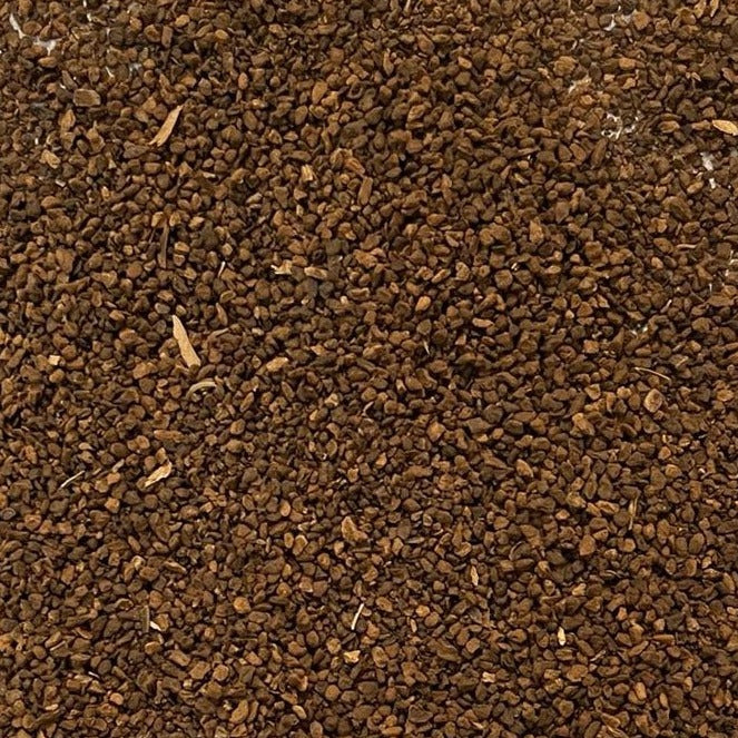 close-up of chicory root roasted Apotheka Herbal