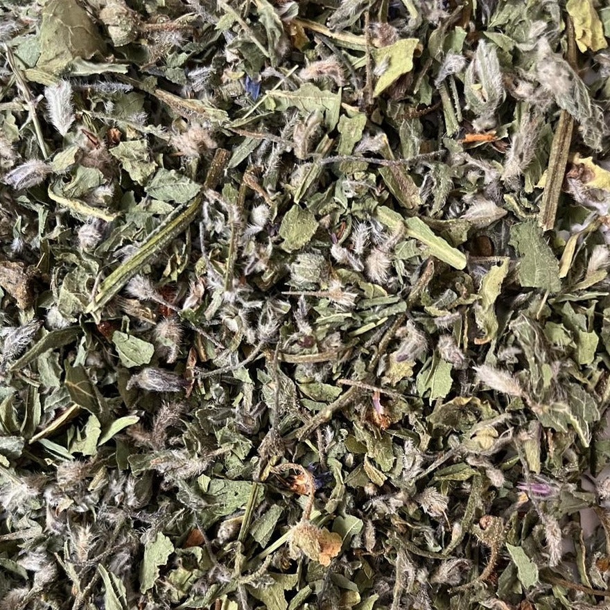 close-up of dried borage Apotheka Herbal
