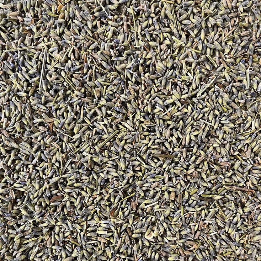 closeup of dried lavender flowers Apotheka Herbal