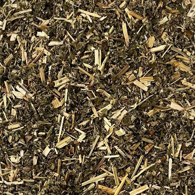 closeup of dried meadowsweet  Apotheka Herbal