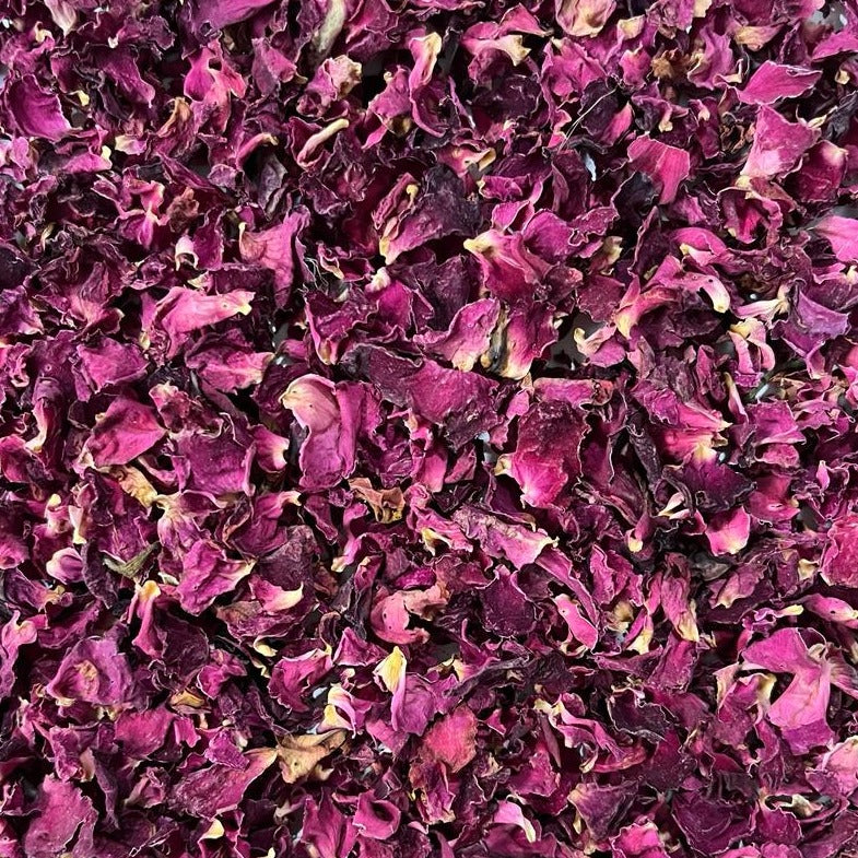 closeup of dried rose petals