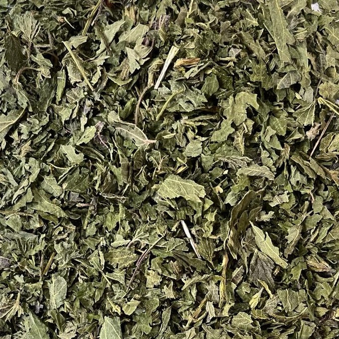 closeup of dried nettle leaf Apotheka Herbal
