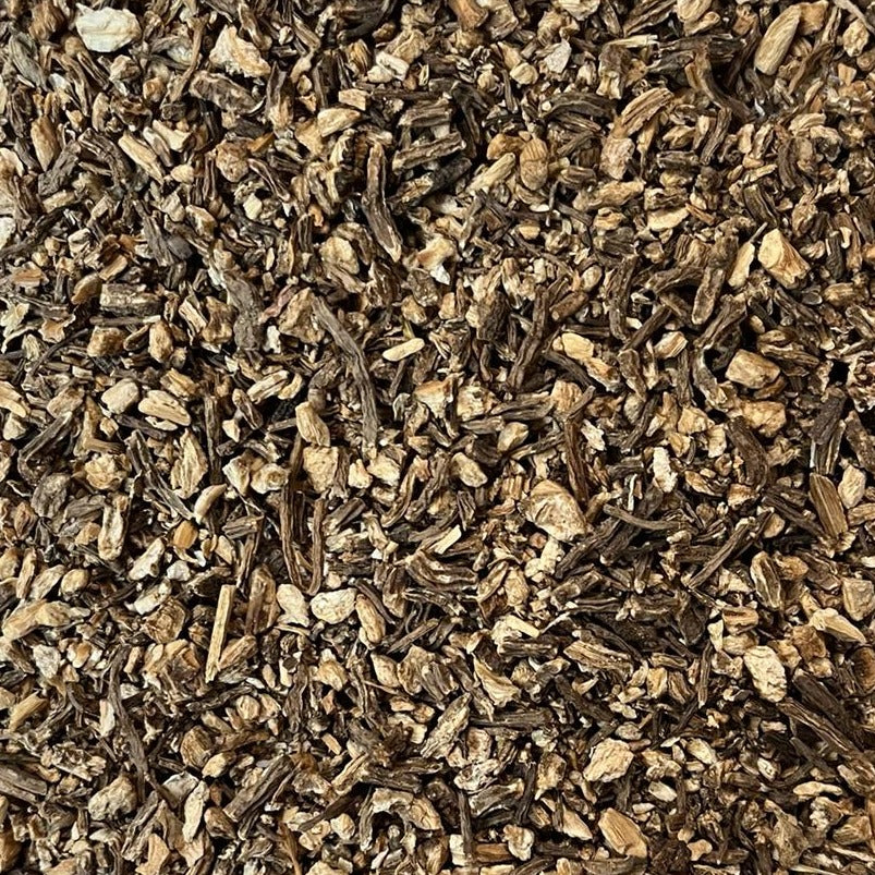 close-up of organic dried angelica root Apotheka Herbal