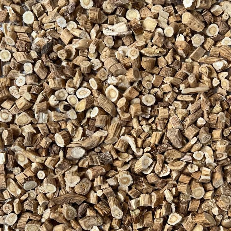 close-up of organic astragalus root Apotheka Herbal