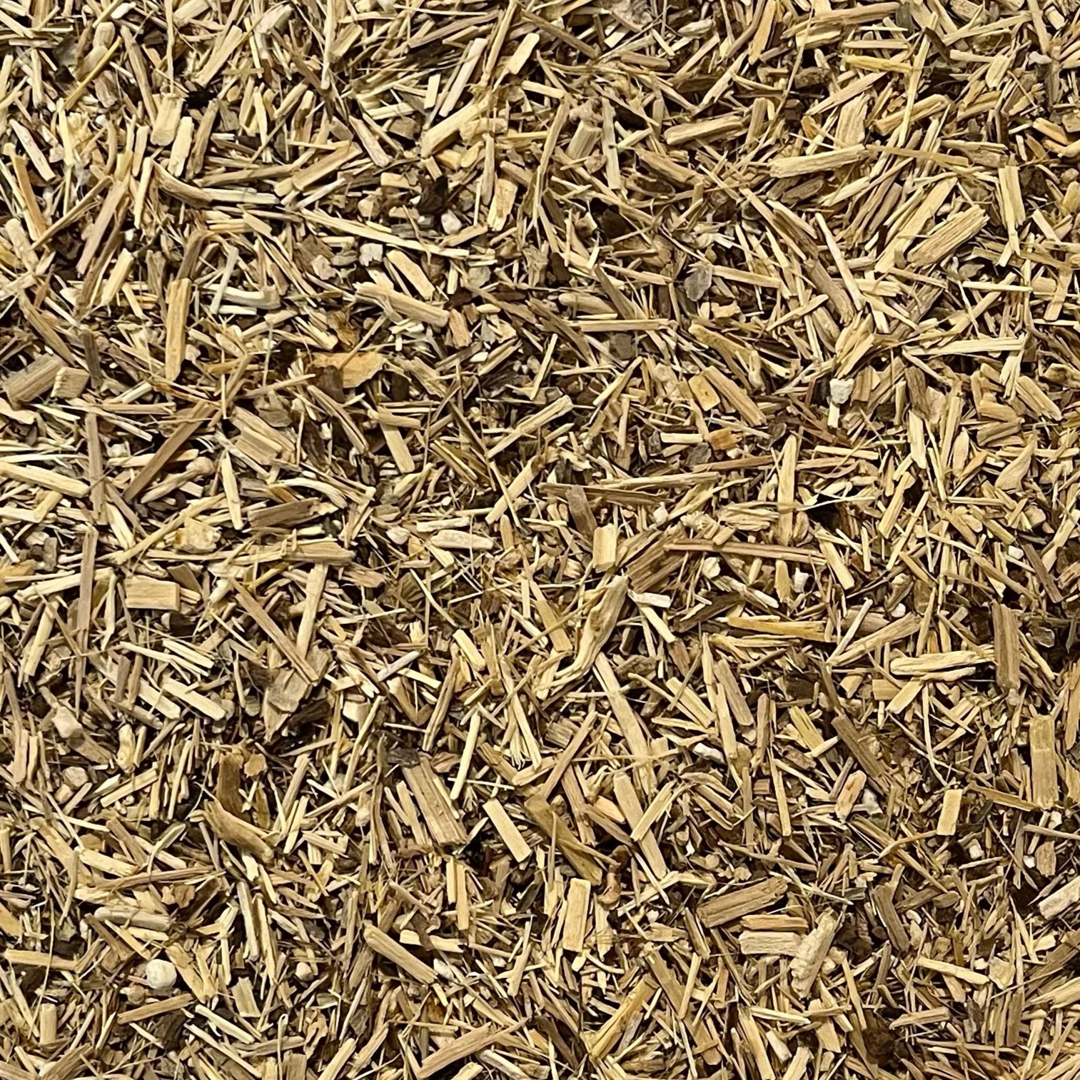 dried organic siberian ginseng Apotheka Herbal