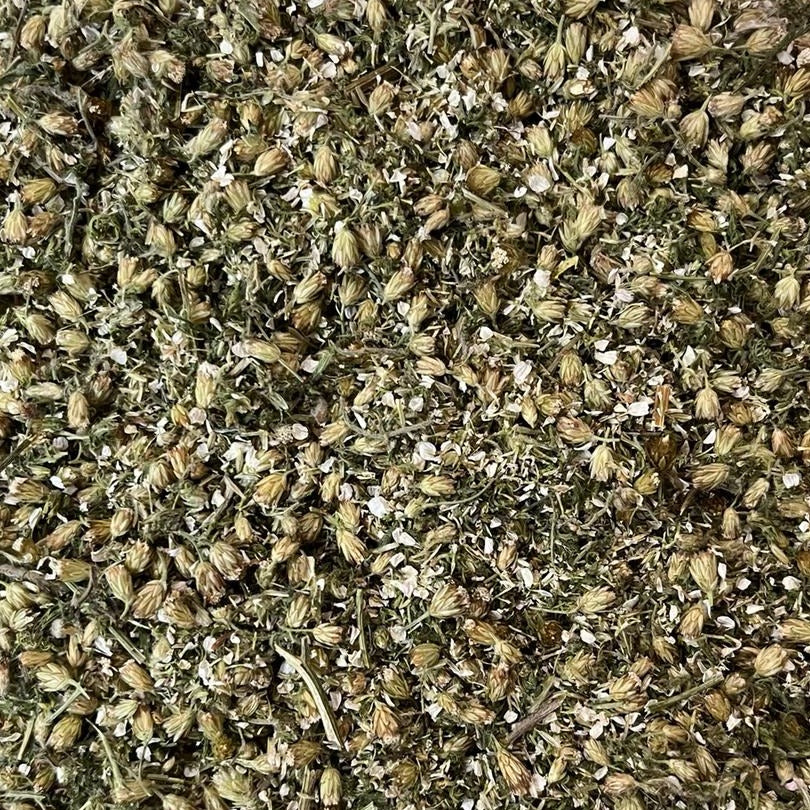 close-up of organic dried yarrow Apotheka Herbal