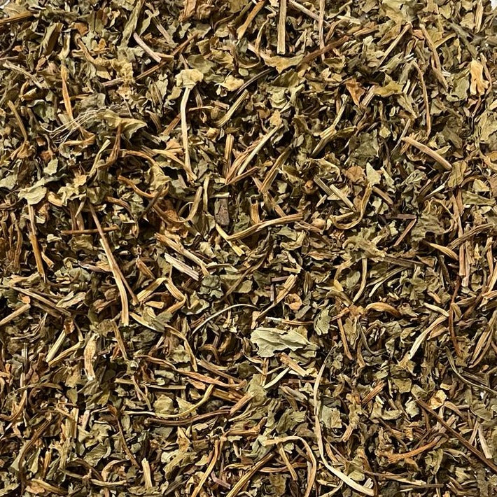 closeup of dried organic gotu kola Apotheka Herbal