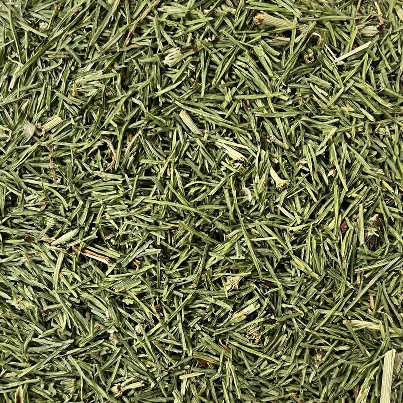 closeup of driedorganic horsetail Apotheka Herbal