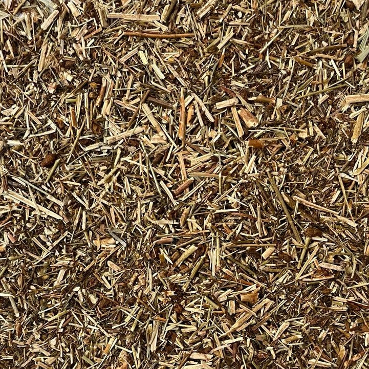 closeup of organic st john s wort Apotheka Herbal