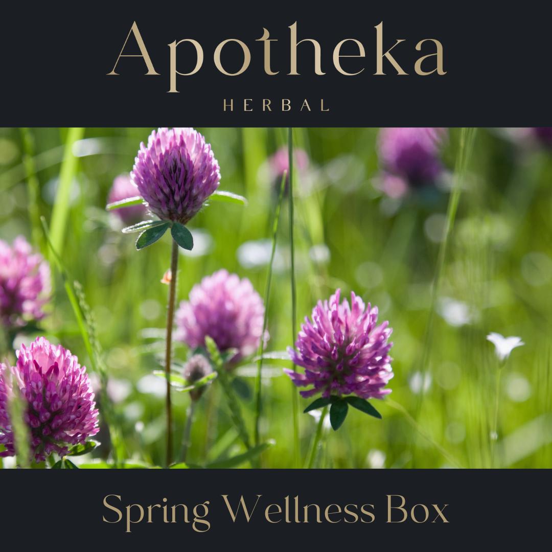 Spring Wellness Box by Apotheka Herbal Apotheka Herbal