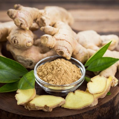 ginger tincture Apotheka Herbal
